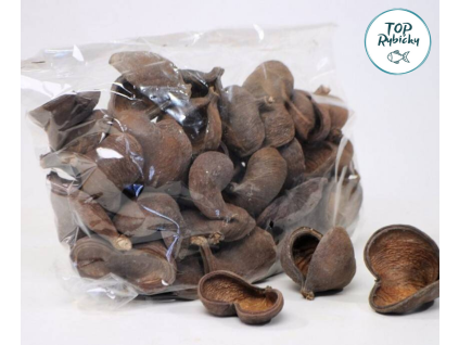 badam nut