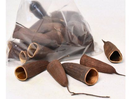 Natural black hole  6-9cm