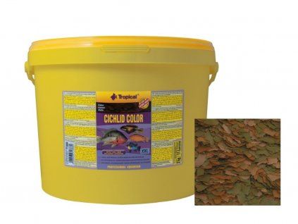 tropical cichlid color xxl size