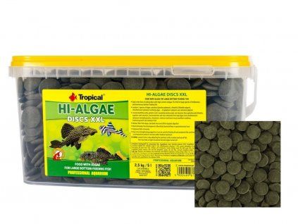 tropical hi algae discs