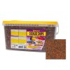 tropical cichlid chips