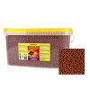 tropical cichlid carnivore medium pellet